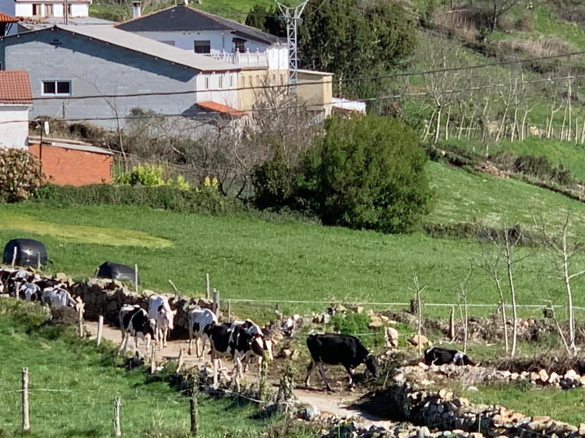 C'Genoveva Complejo Turistico Rural Caleacabo Villa Biescas  Eksteriør bilde